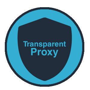 transparent proxy vs reverse proxy witch one bettrer