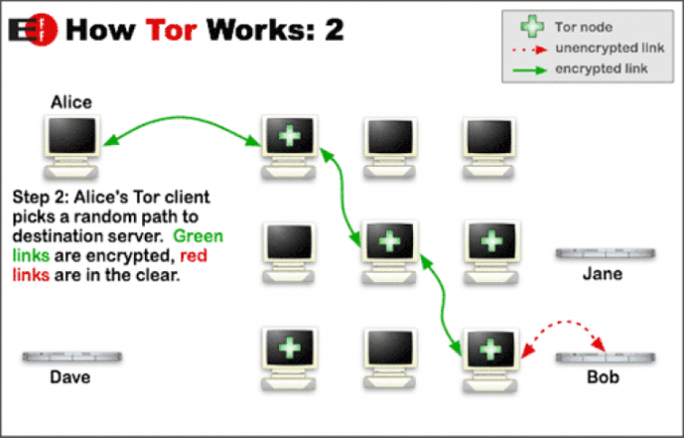 tor browser и конфиденциальность mega